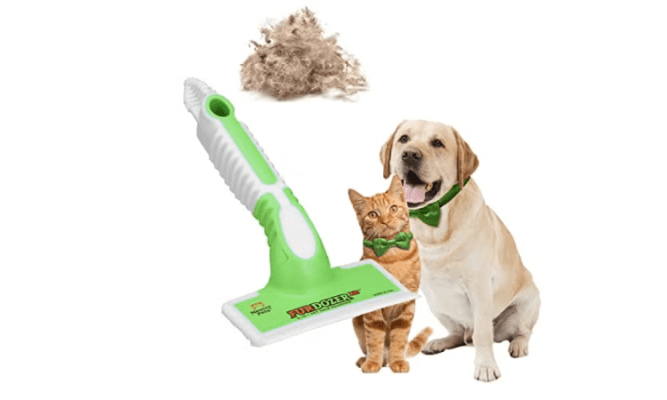 Discover the Best Pet Hair Removal Tools That Actually Work in 2024