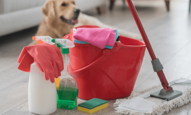 Discover the Top 5 Pet Products for a Cleaner Home